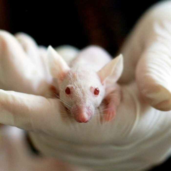 Live Forever or Play God: The Biotech Revolution Rewriting Humanity’s Future